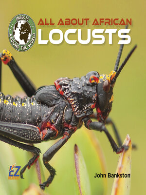 cover image of All About African Locusts